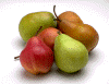 PH02827J.gif (76035 Byte)